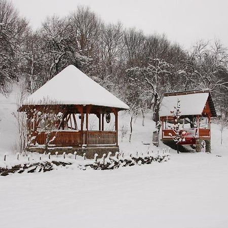Pensiunea La Gorgan Vadu Izei Buitenkant foto