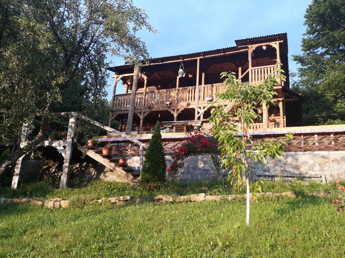 Pensiunea La Gorgan Vadu Izei Buitenkant foto