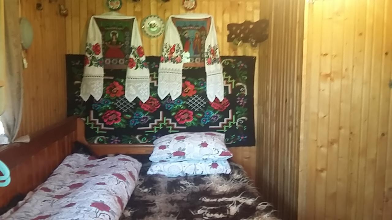 Pensiunea La Gorgan Vadu Izei Buitenkant foto